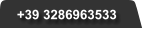 +39 3286963533